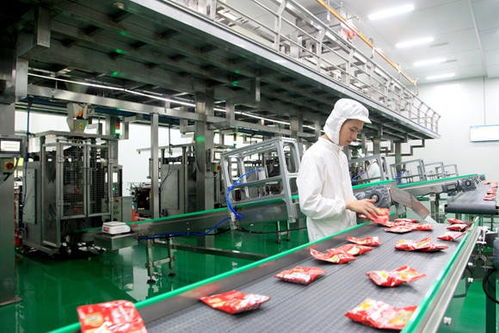 涪陵勇立潮頭 以網絡技術開發(fā)驅動創(chuàng)新升級，擘畫高質量發(fā)展新格局
